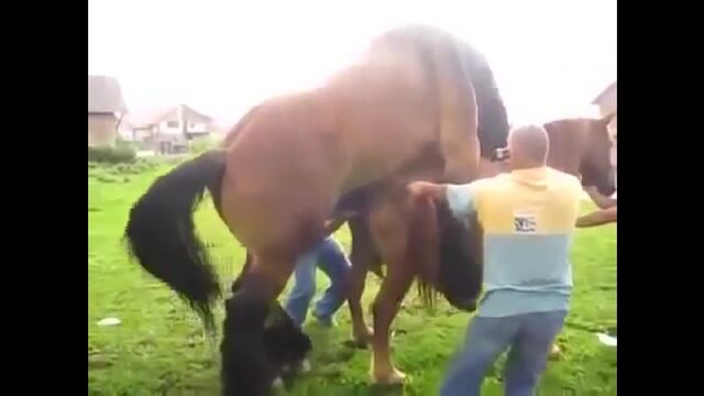 Porn video #14998