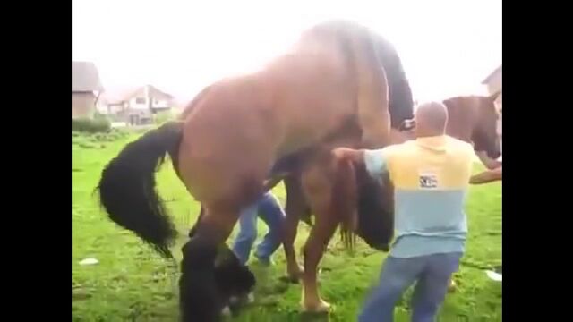 Porn video #15015