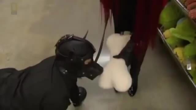Porn video #17590