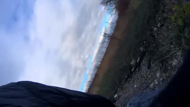 Porn video #17806