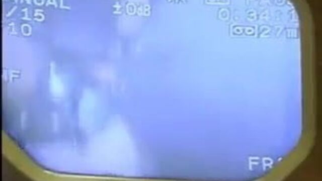 Porn video #1817