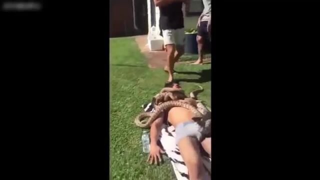 Porn video #18536