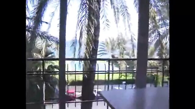 Porn video #19346