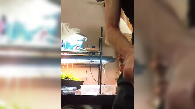 Porn video #19486