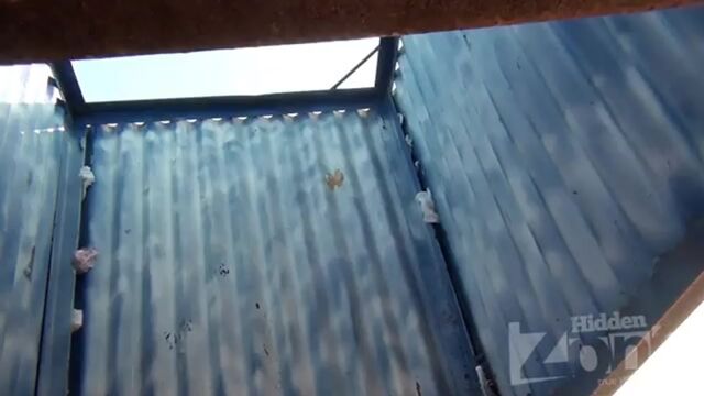 Porn video #19716