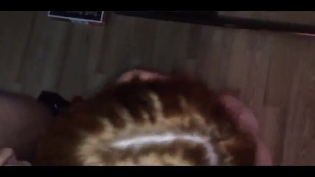 Porn video #21104