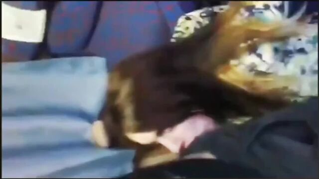 Porn video #2261