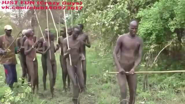 Porn video #240
