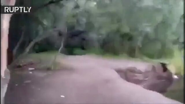 Porn video #24124
