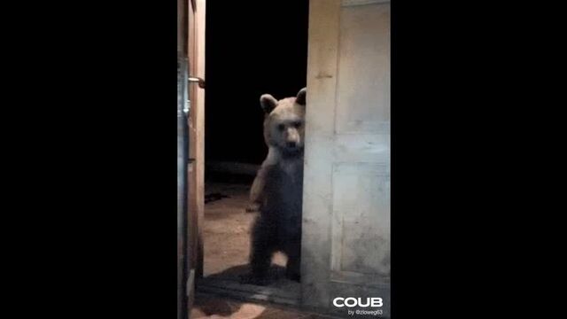 Porn video #24283