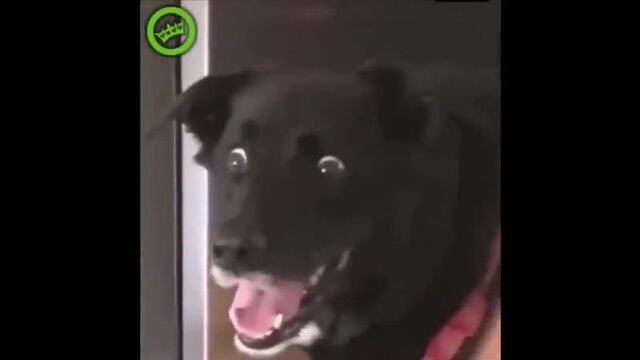 Porn video #24346