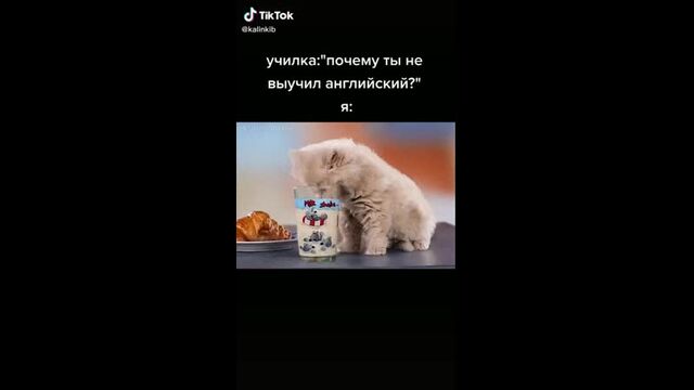 Porn video #24420