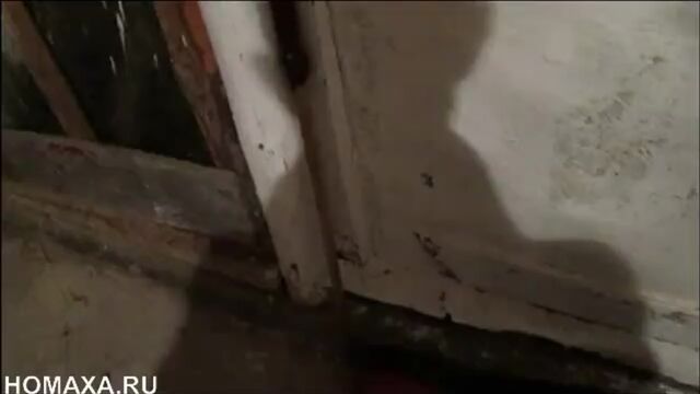 Porn video #24701