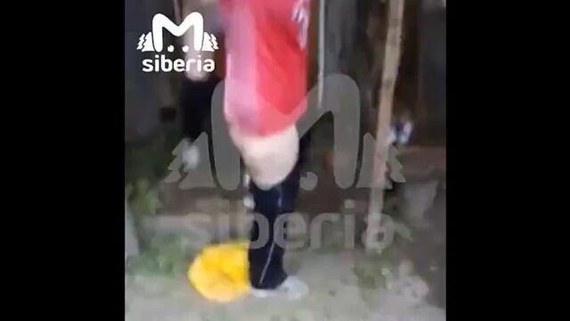 Porn video #24785