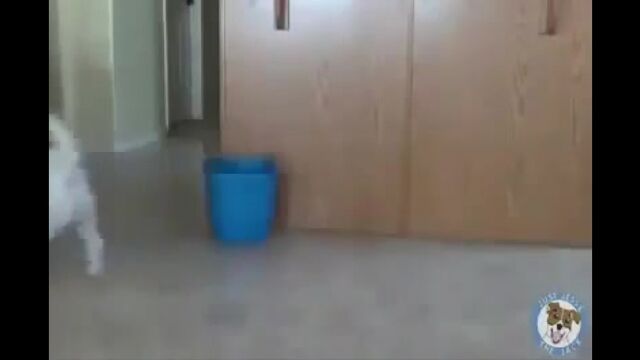 Porn video #24937