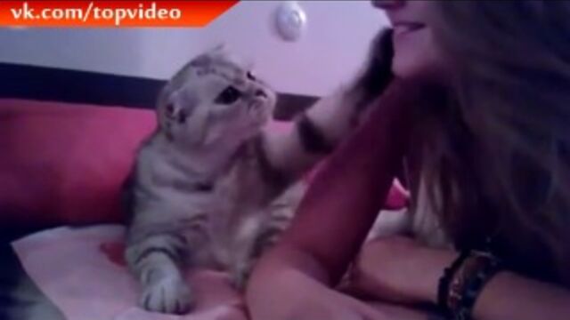 Porn video #25121