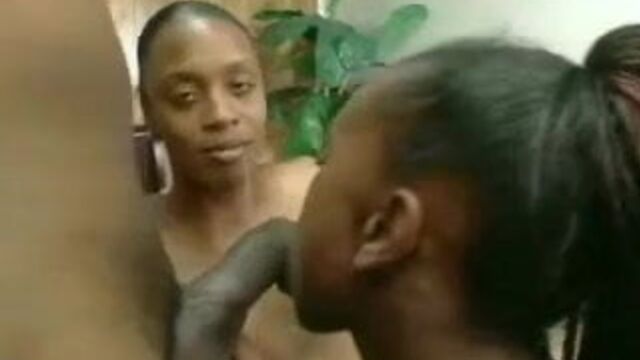Porn video #27517