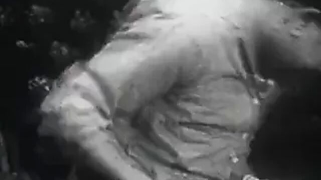 Porn video #27548