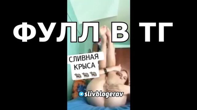 Porn video #28481