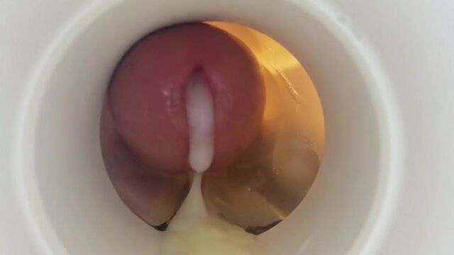 Porn video #28535