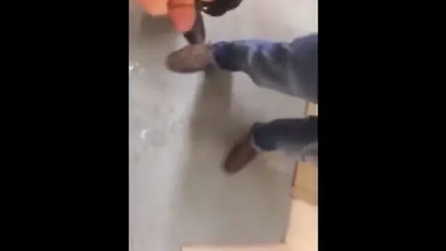 Porn video #29243