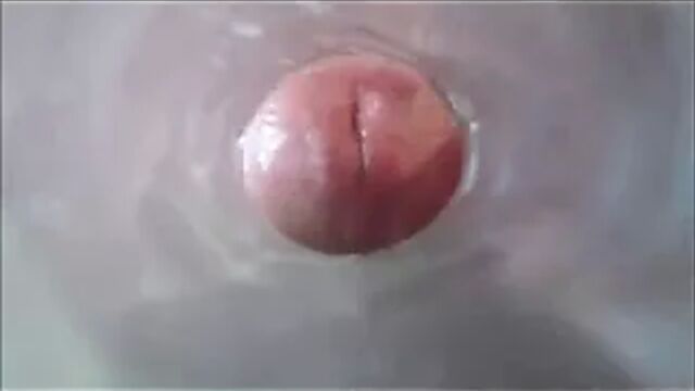 Porn video #30301