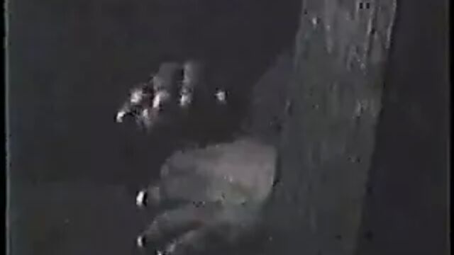 Porn video #30390
