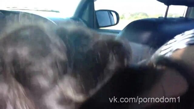 Porn video #31329