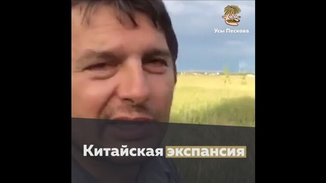 Porn video #32022