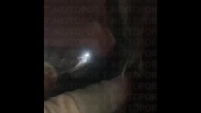 Porn video #33398