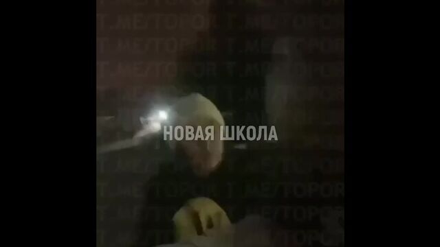 Porn video #33431