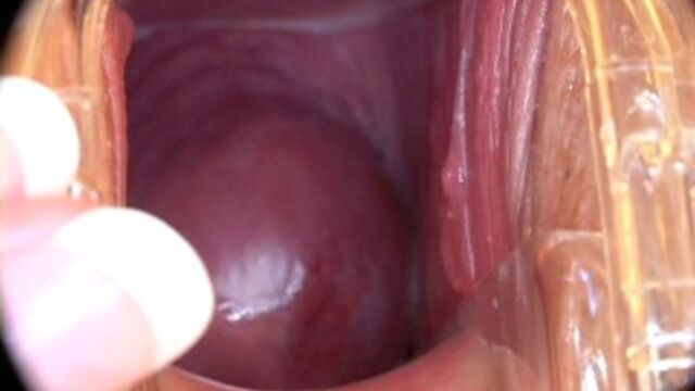 Porn video #33561