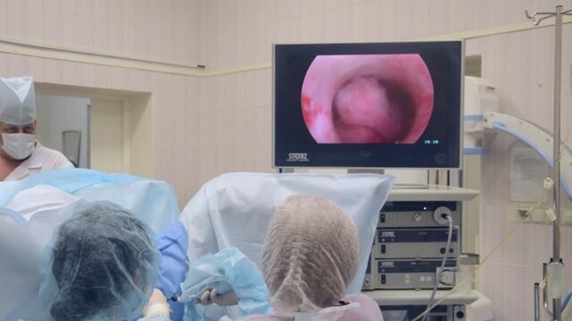 Porn video #36212