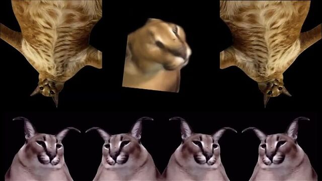 Porn video #36846