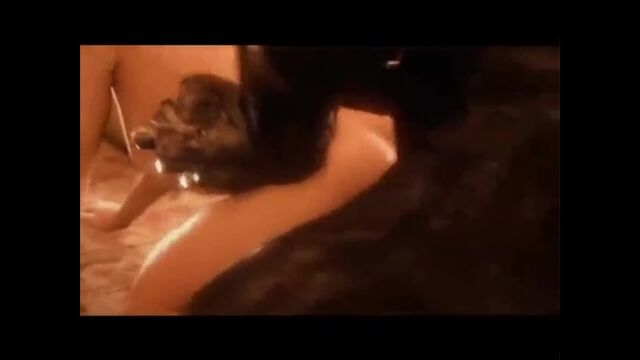Porn video #37134