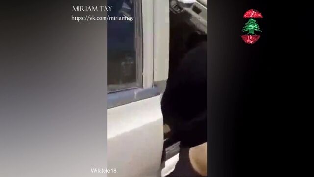 Porn video #41520