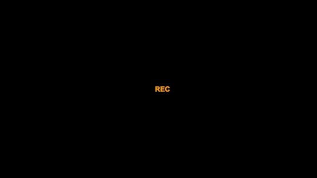Porn video #41555