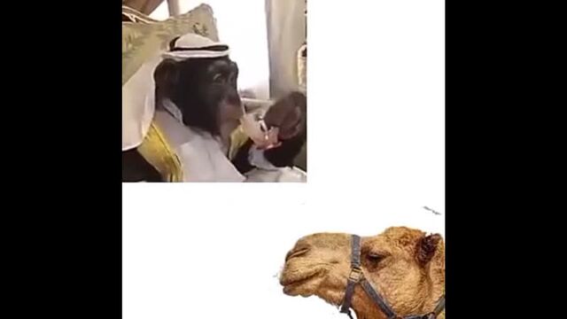 Porn video #41629