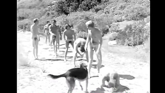 Porn video #43732