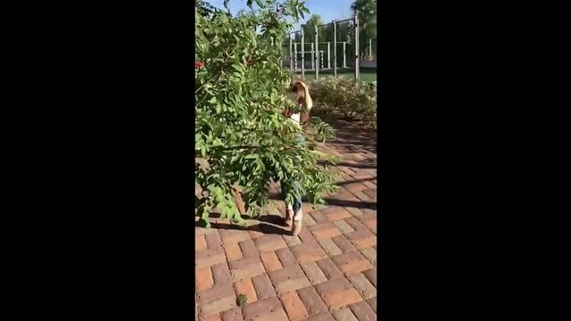 Porn video #44180