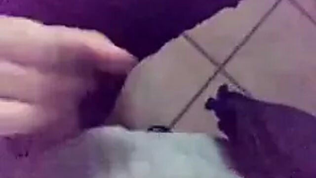 Porn video #45154