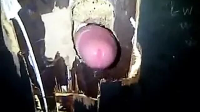 Porn video #46983