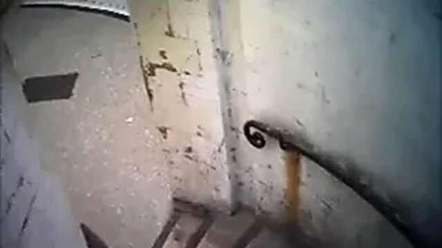 Porn video #47245