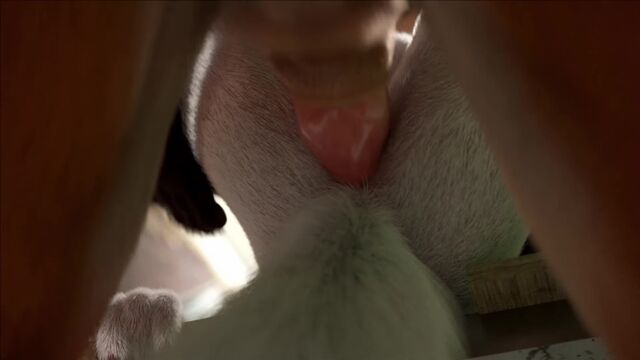 Porn video #47300