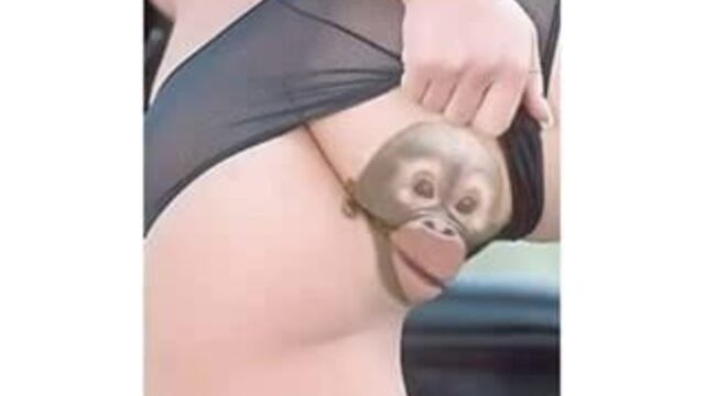 Porn video #47604