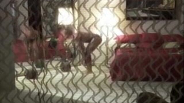 Porn video #49701