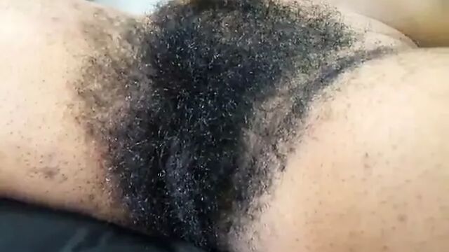 Porn video #50067