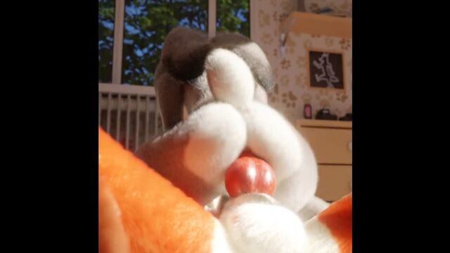 Porn video #6734