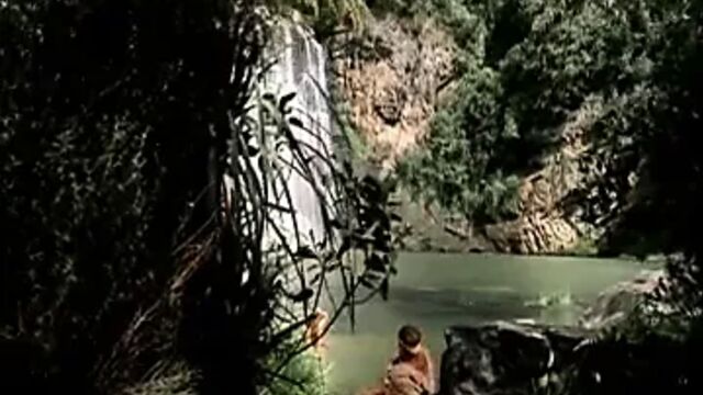 Porn video #8236